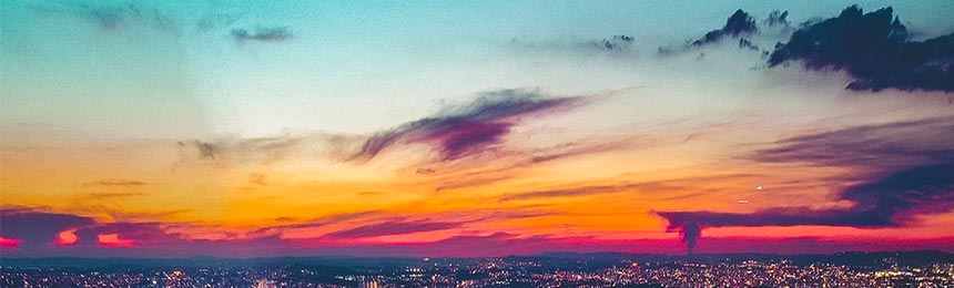 长葛茶虫网_长葛品茶